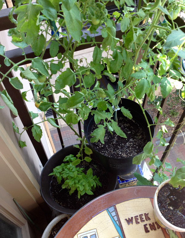 Screen Shot 2015-08-26 at 1.47.01 PM