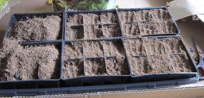 Screen Shot 2015-08-26 at 3.15.53 PM