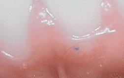 Screen Shot 2015-09-26 at 2.56.30 PM