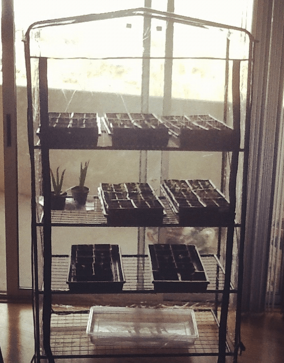 Screen Shot 2016-08-15 at 3.13.55 PM