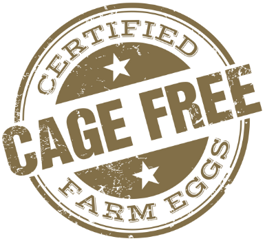 Screen Shot 2018-03-17 at 9.18.08 AM