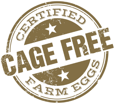 Screen Shot 2018-03-17 at 9.18.08 AM